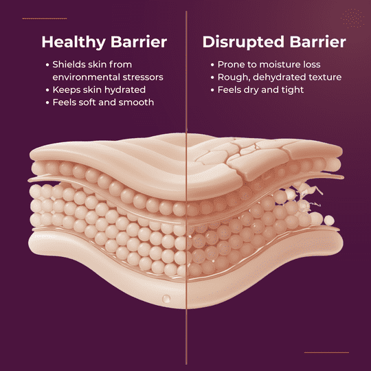 We are we obsessed with the Skin Barrier?