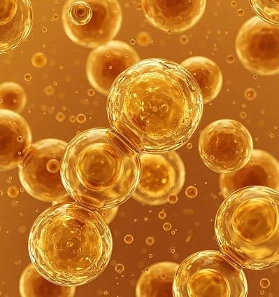 Yeast beta glucan Background
