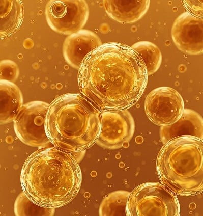 Yeast beta glucan