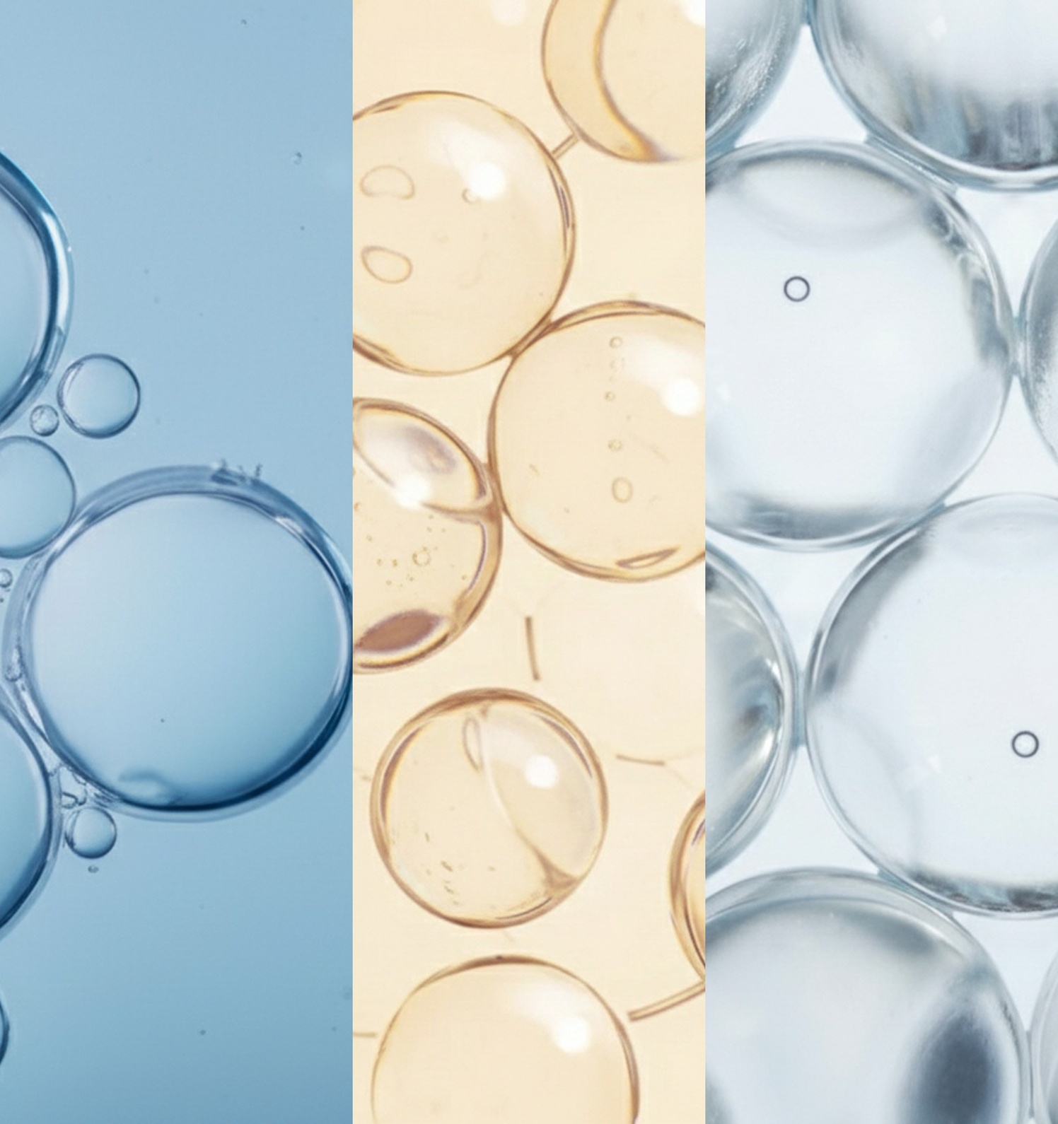 3 types of Ceramides
